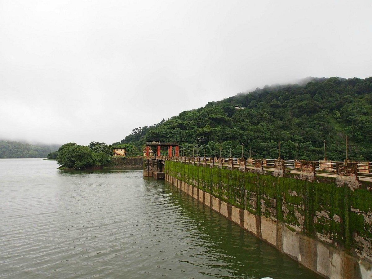 Incessant Rain Helps Several Dams Reach Their Potential